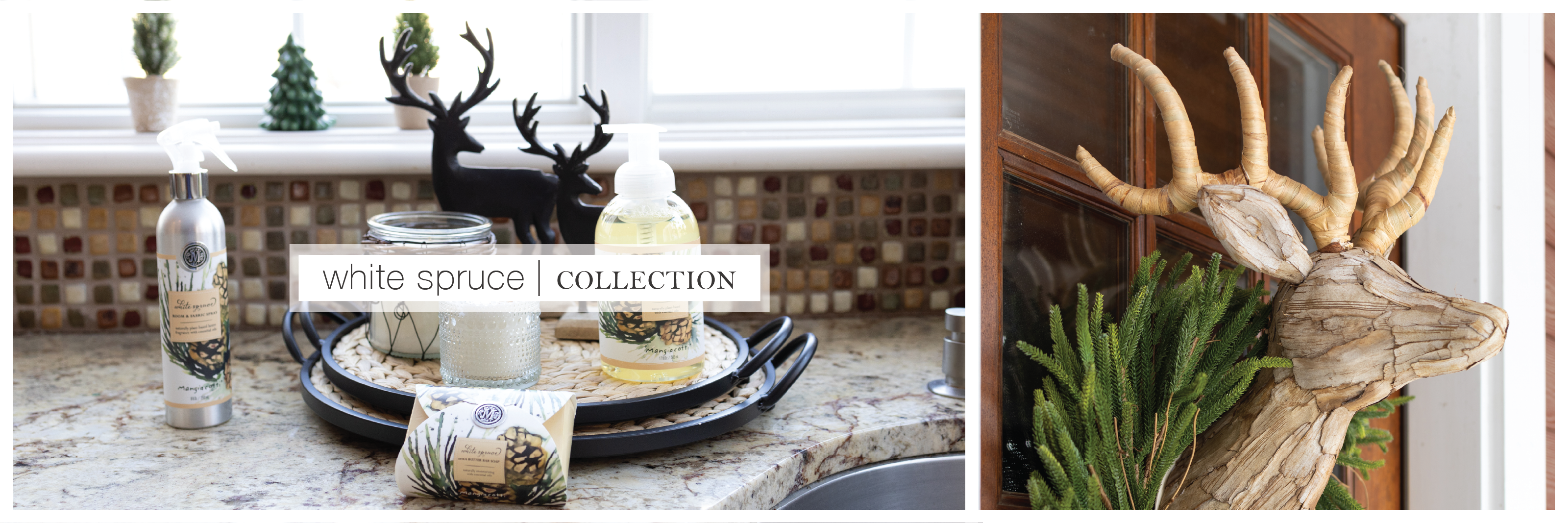 white-spruce-collection