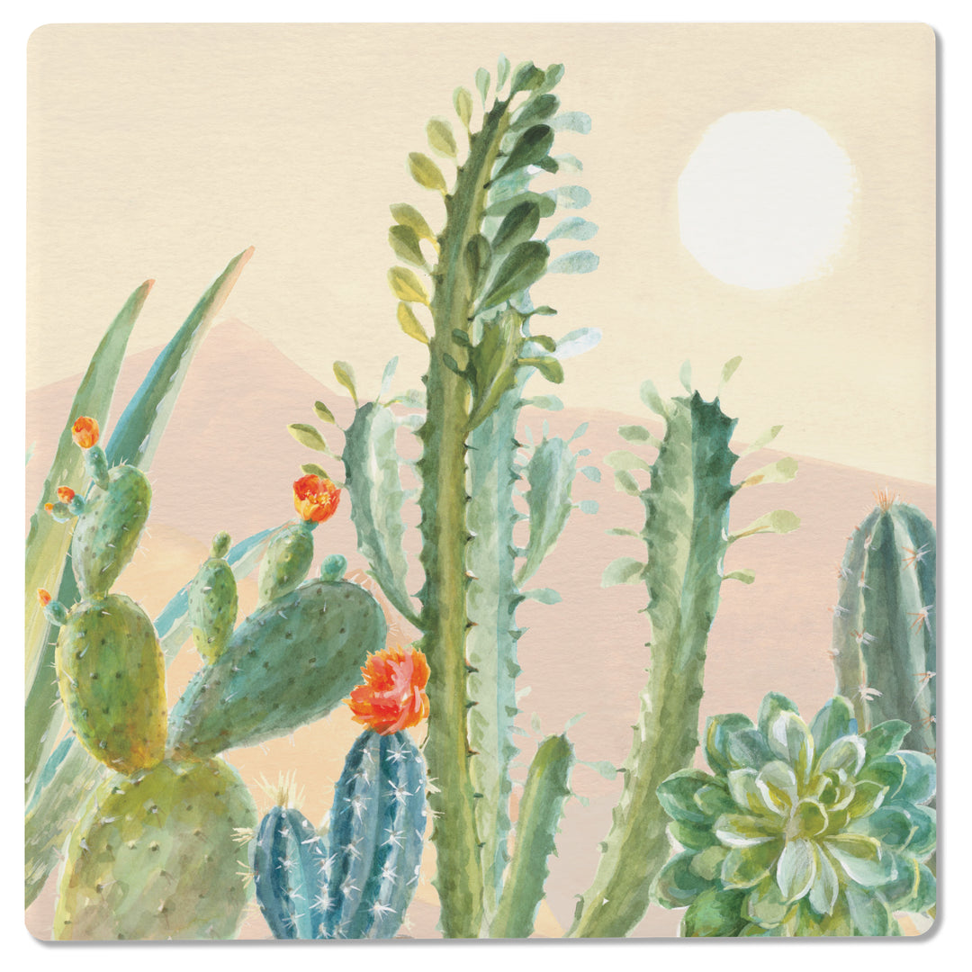 Desert Greenhouse Coasters
