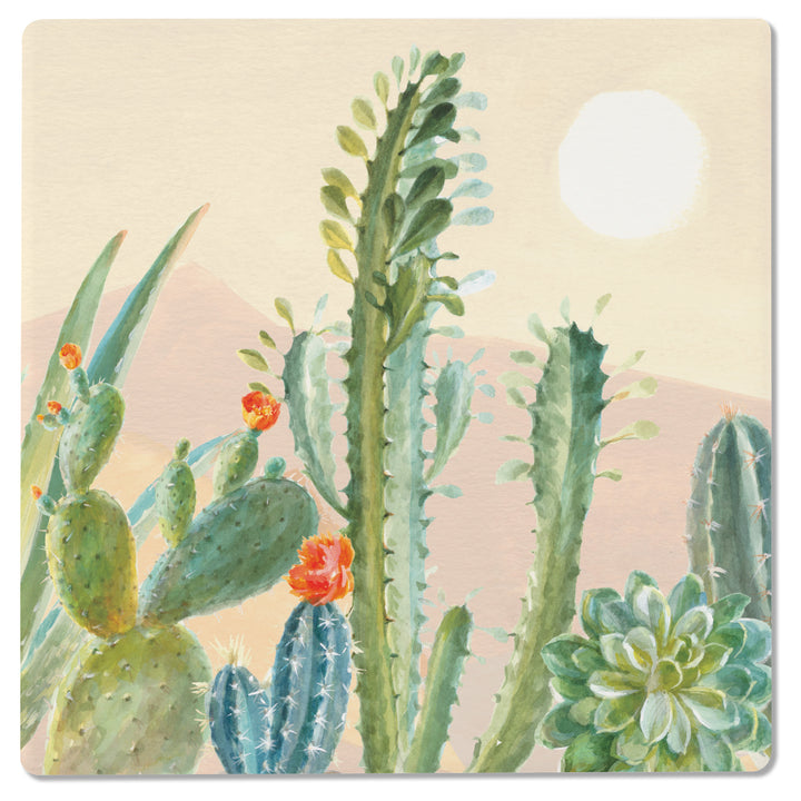 Desert Greenhouse Coasters