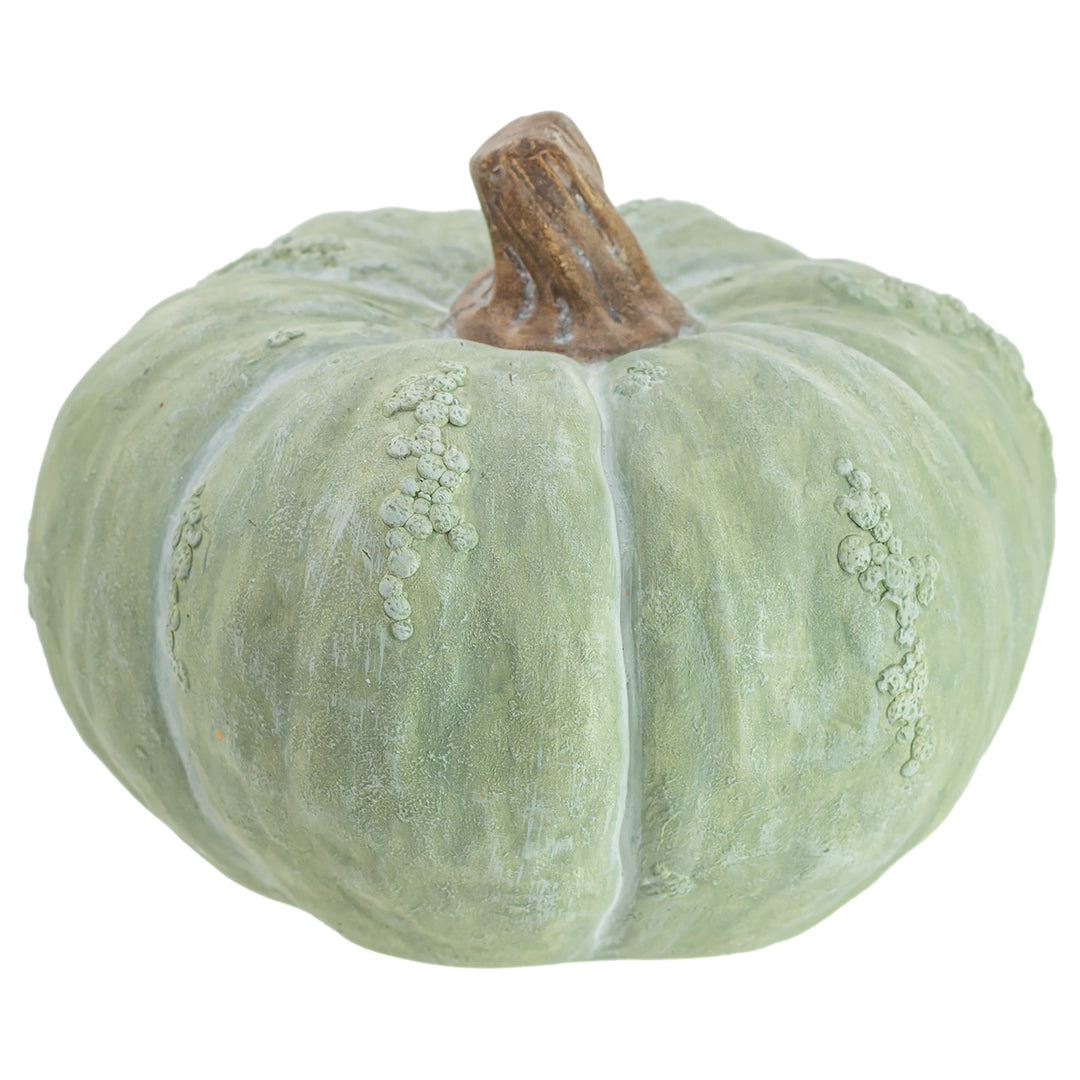 Chalky Green Pumpkin Large