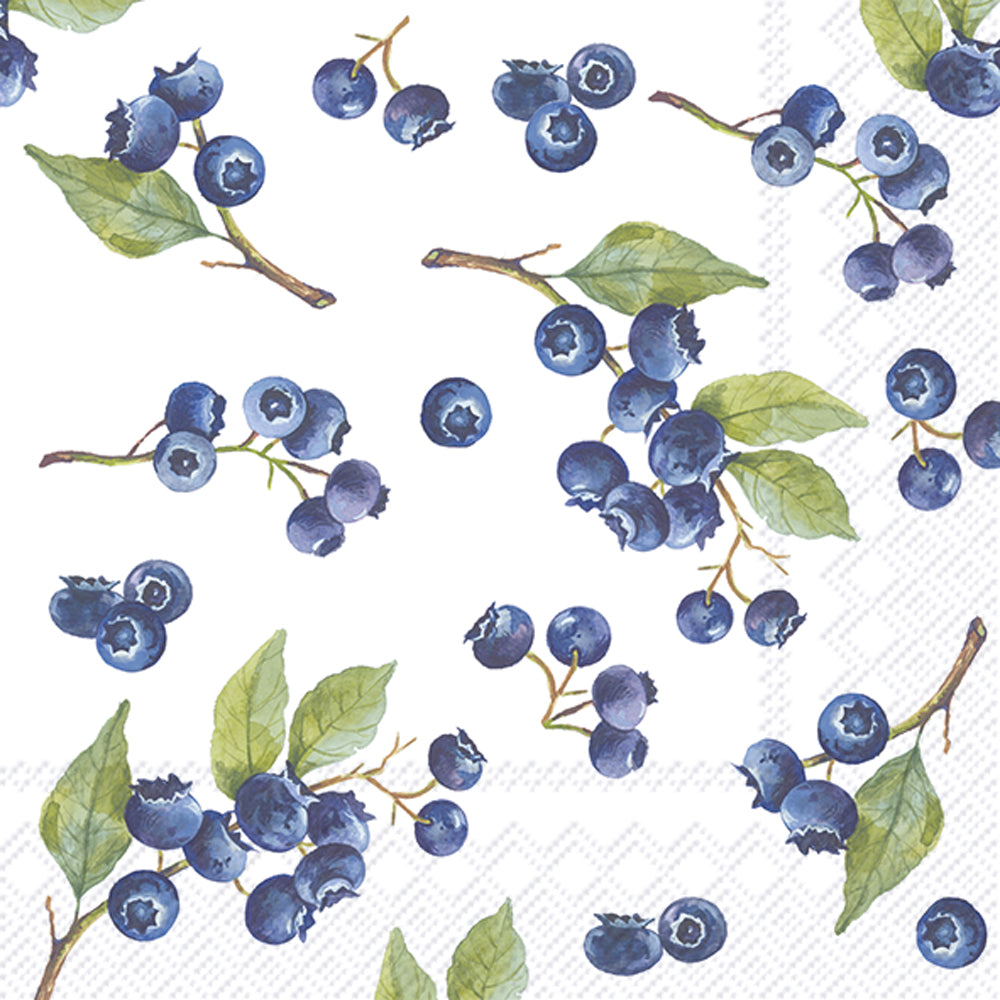 CKTL/BLUEBERRIES