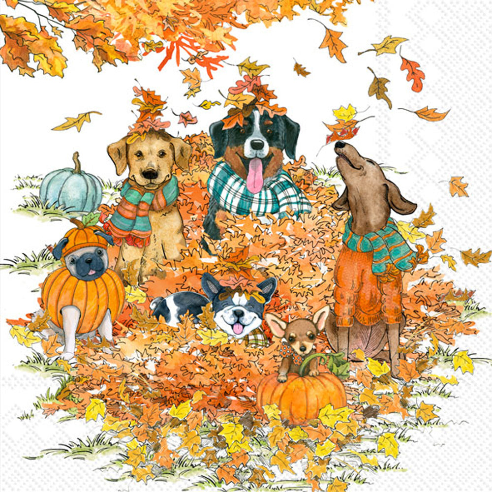 CKTL/AUTUMN DOGS