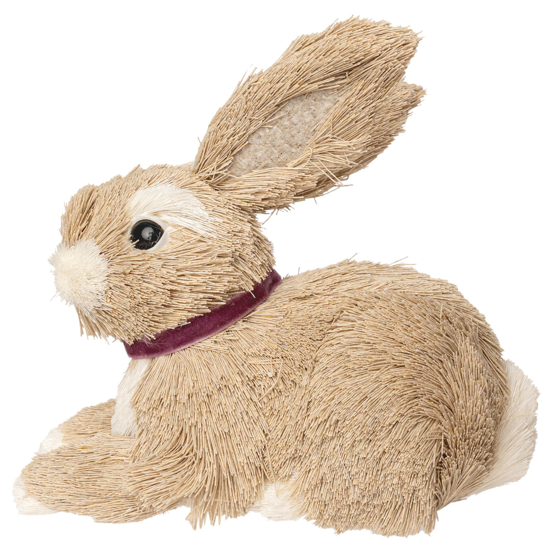 Brother Timmy Bunny