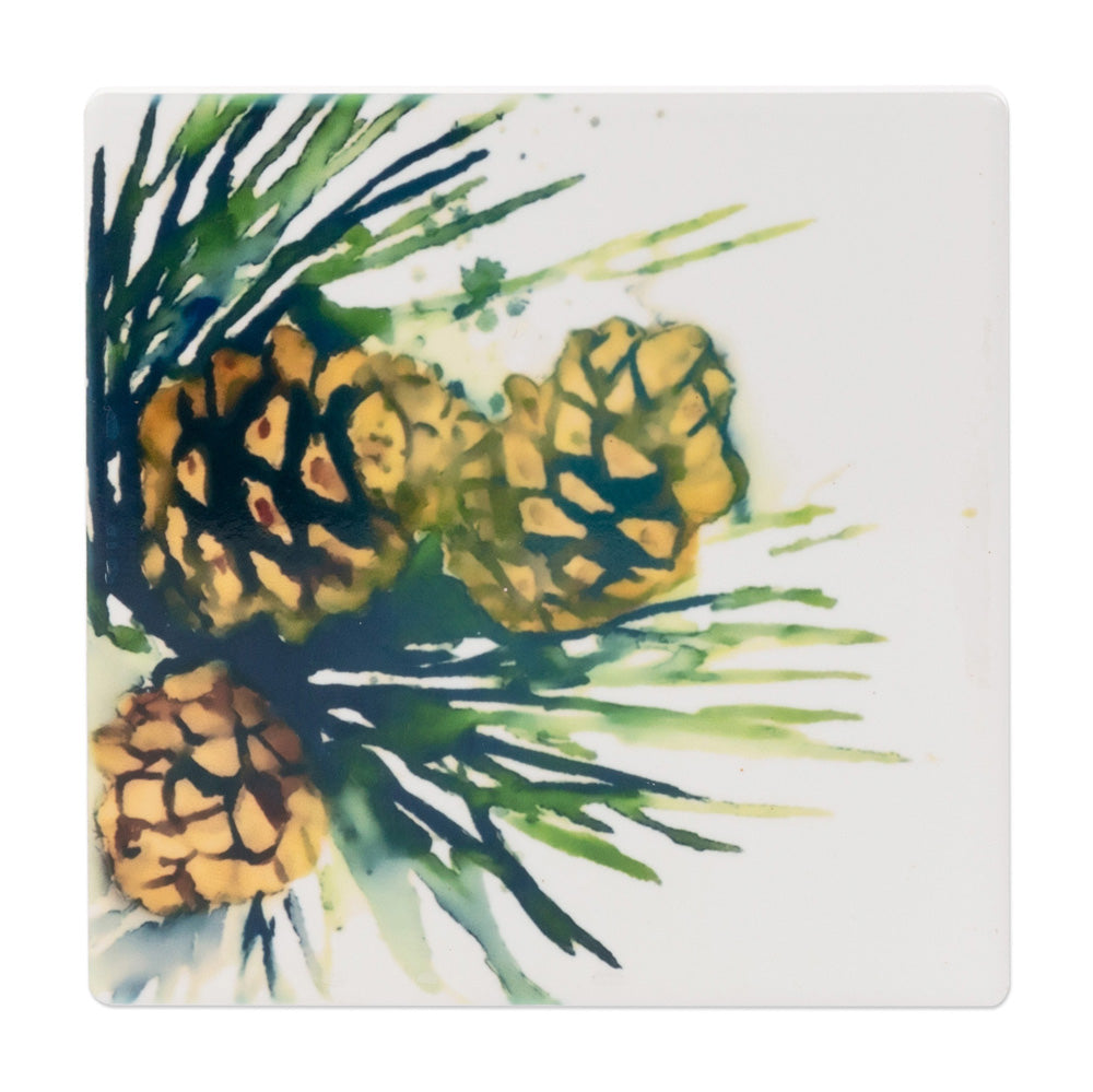 White Spruce Coasters