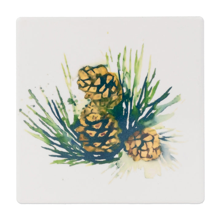 White Spruce Coasters