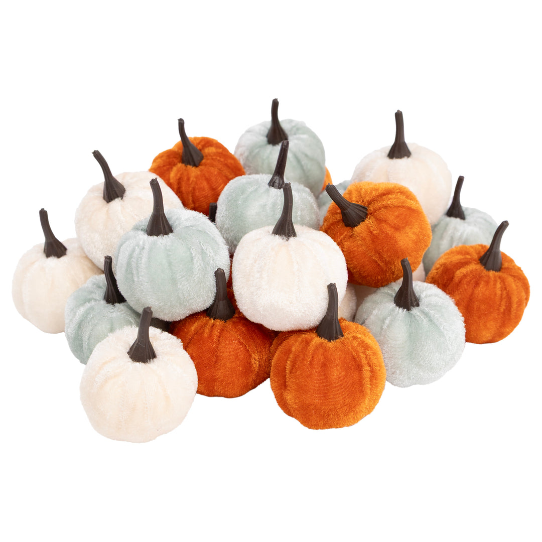 Mini Pumpkin Box (Set of 24)