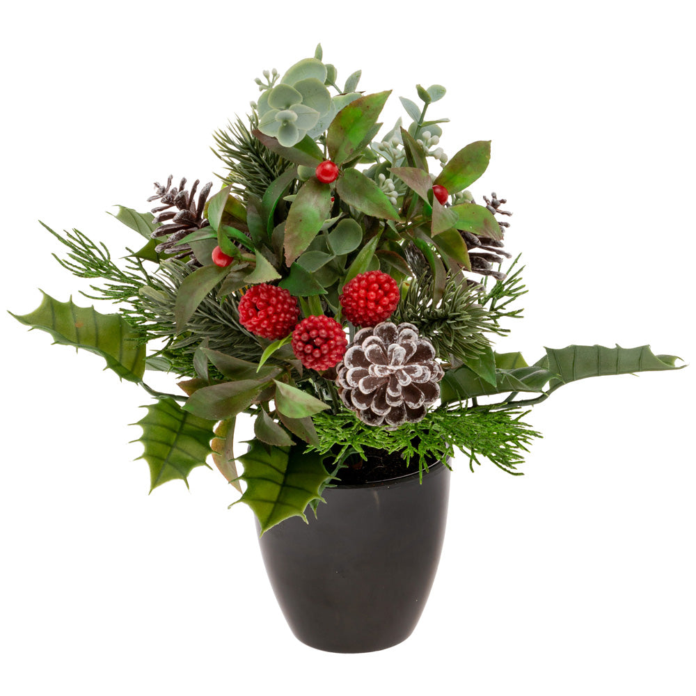 WINTER FOREST POTTED BOUQUET