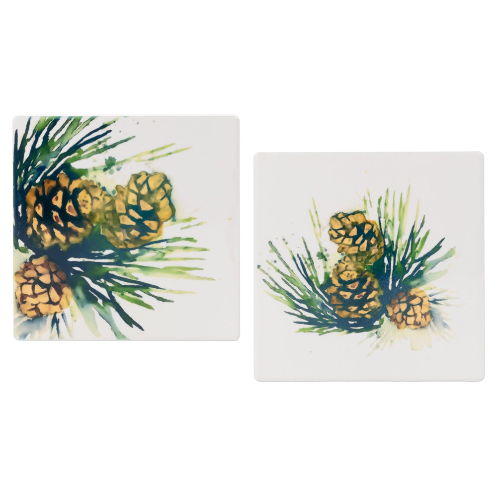 White Spruce Coasters