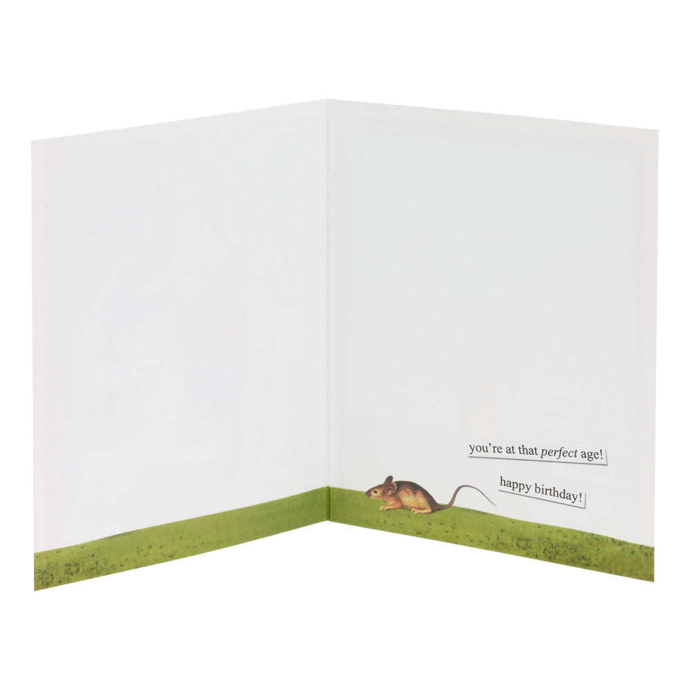 Anne Taintor Birthday Card Rat&