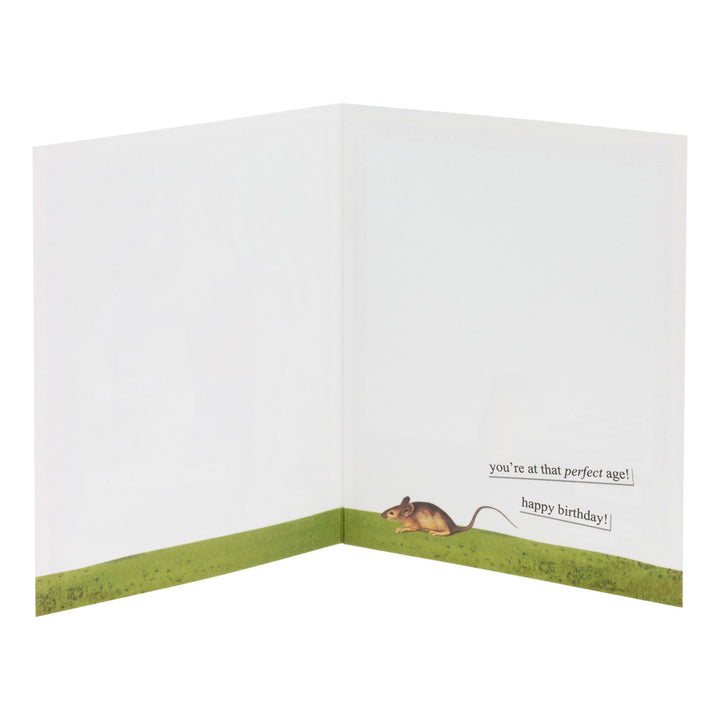 Anne Taintor Birthday Card Rat&