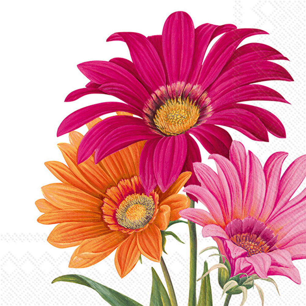 Joyful Gerbera Lunch Napkin White