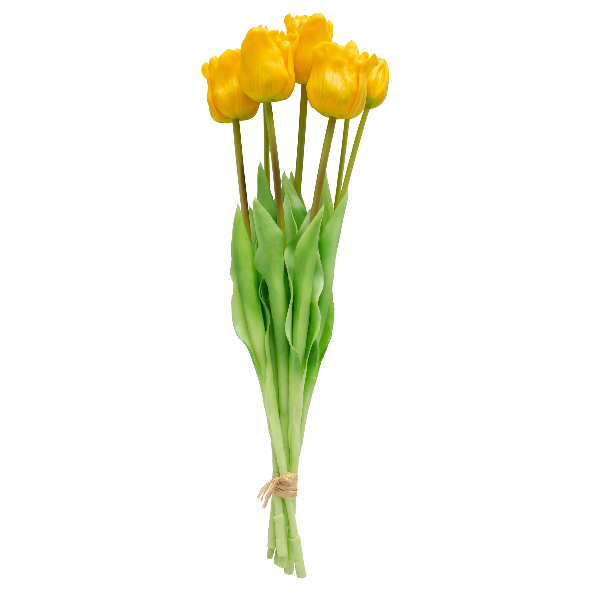 Long Stem Yellow Tulips