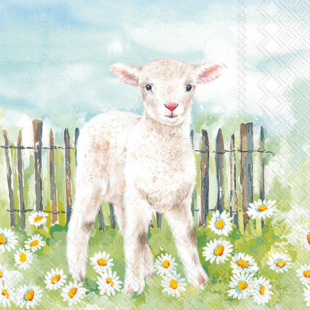 LNCH/LAMB IN THE MEADOW