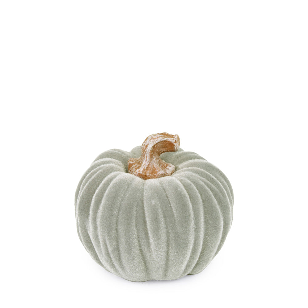 Small Velvet Pumpkin Grey