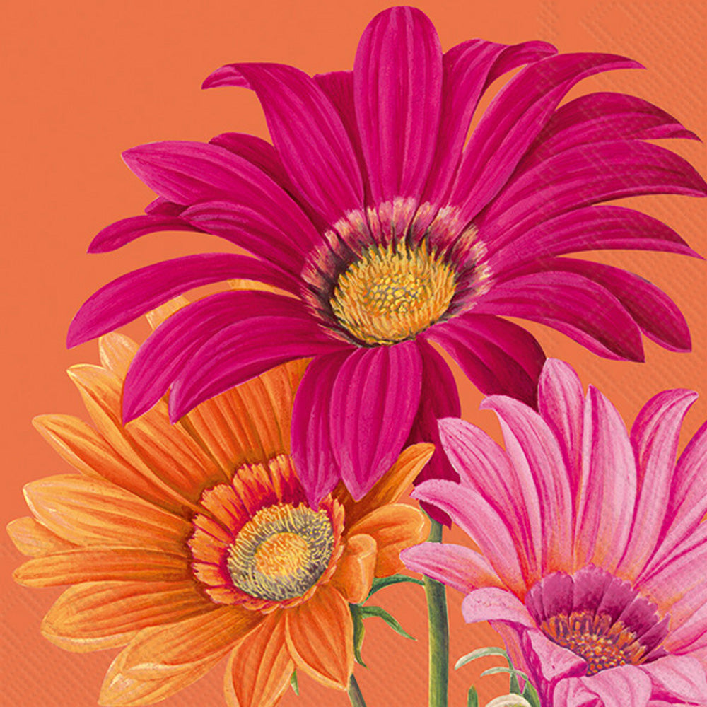 Joyful Gerbera Cocktail Napkin Orange