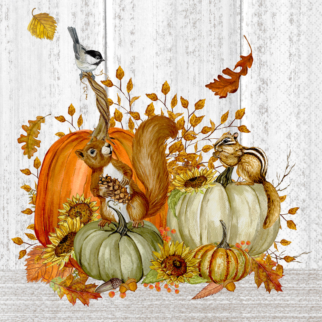 Fall Squirrel Chipmunk Cocktail Napkin