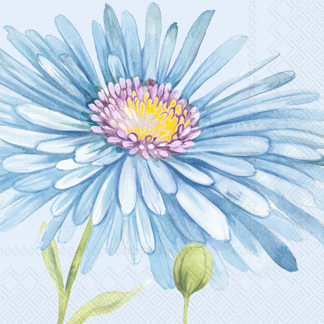 Huge Aster Cocktail Napkin