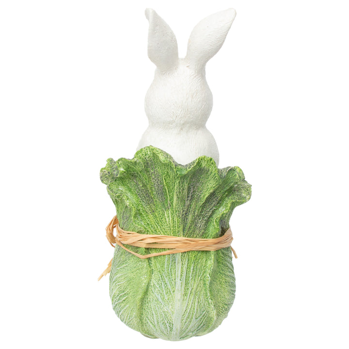 Bunny In Cabbage