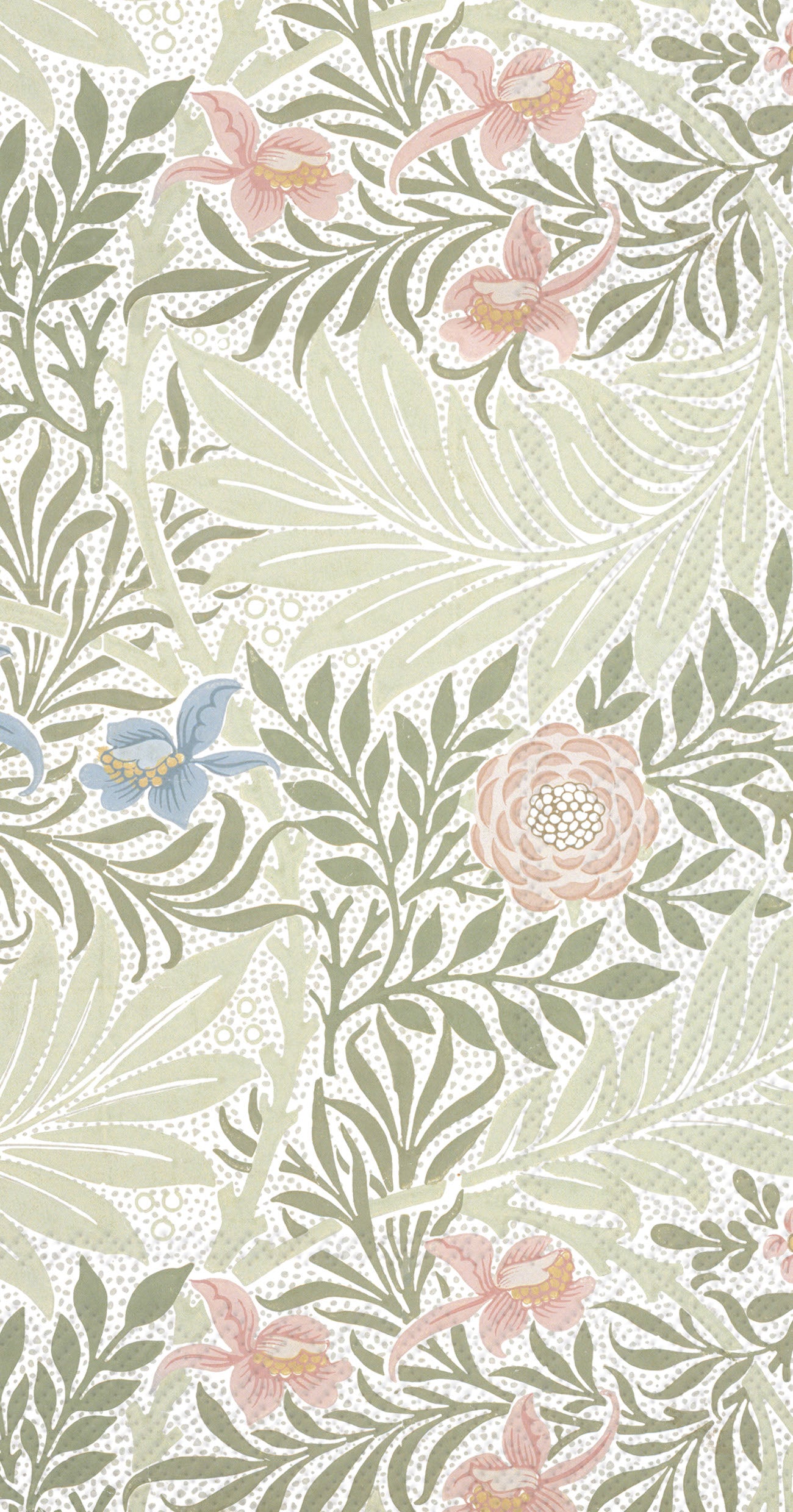 Larkspur Guest Towel green