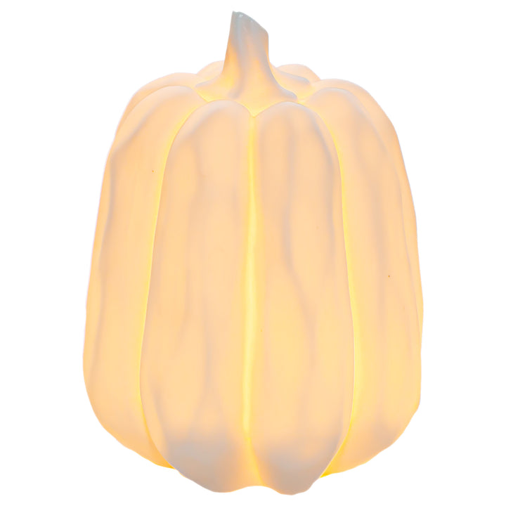 White LED Pumpkin Medium