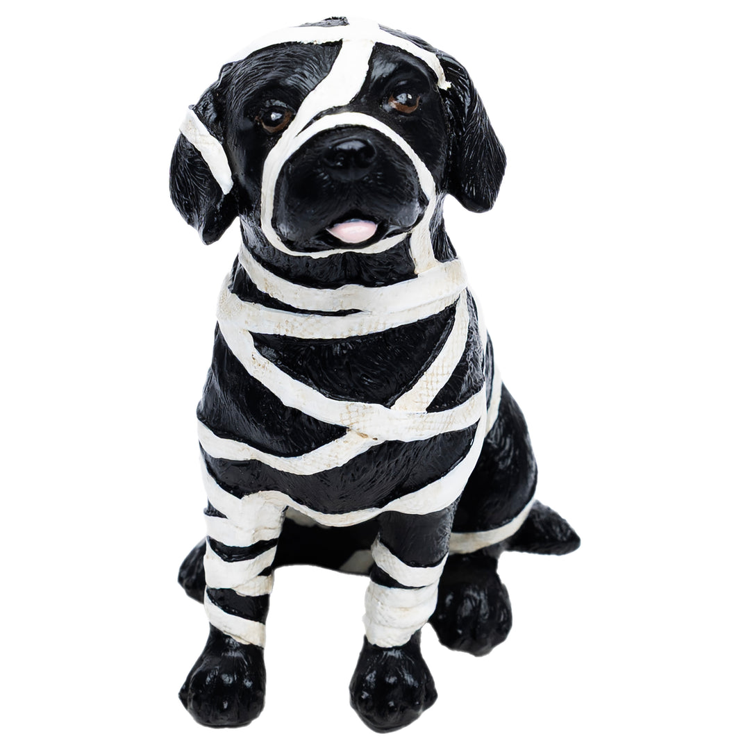 Mummy Dog