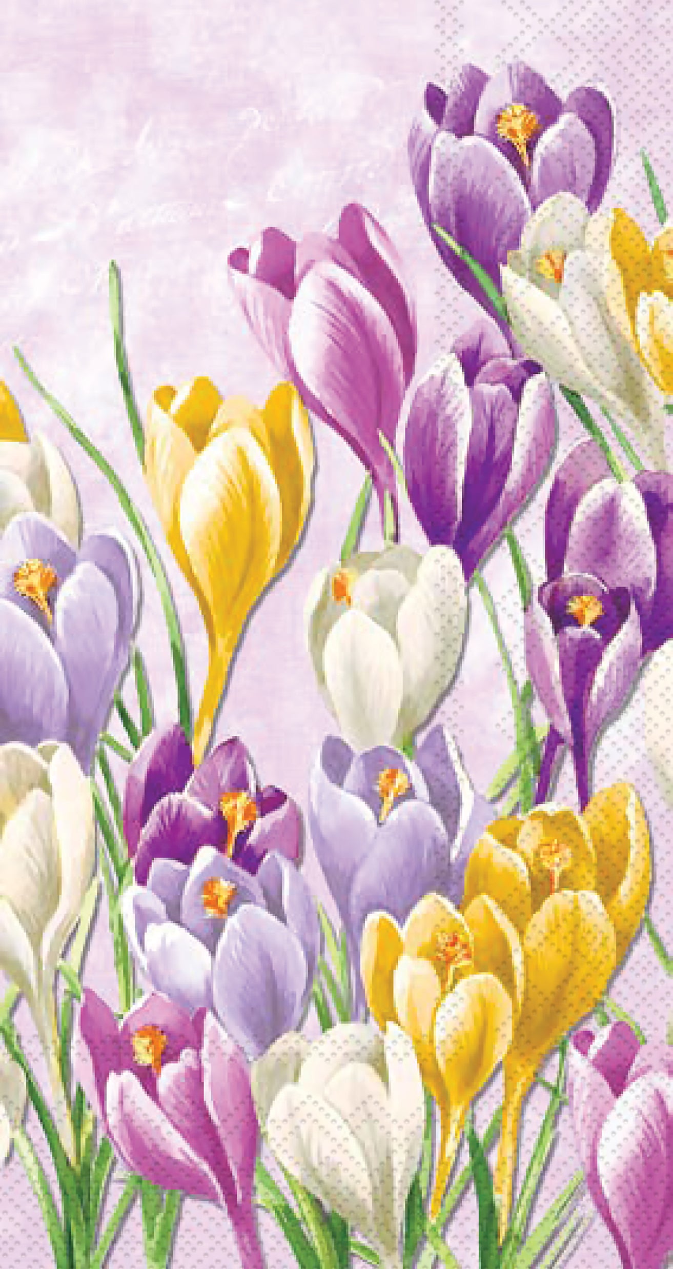 Blooming Crocus Guest Towel lilac