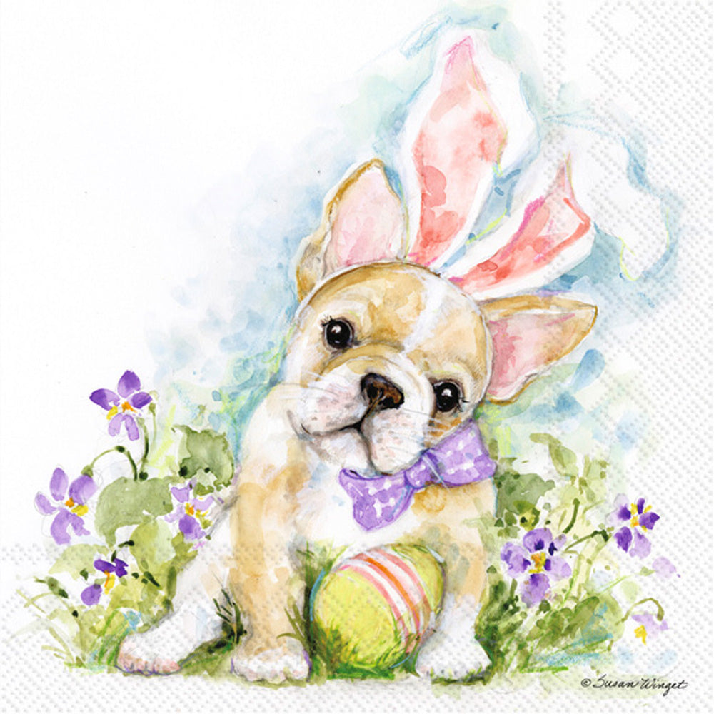 CKTL/EASTER FRENCH BULLDOG