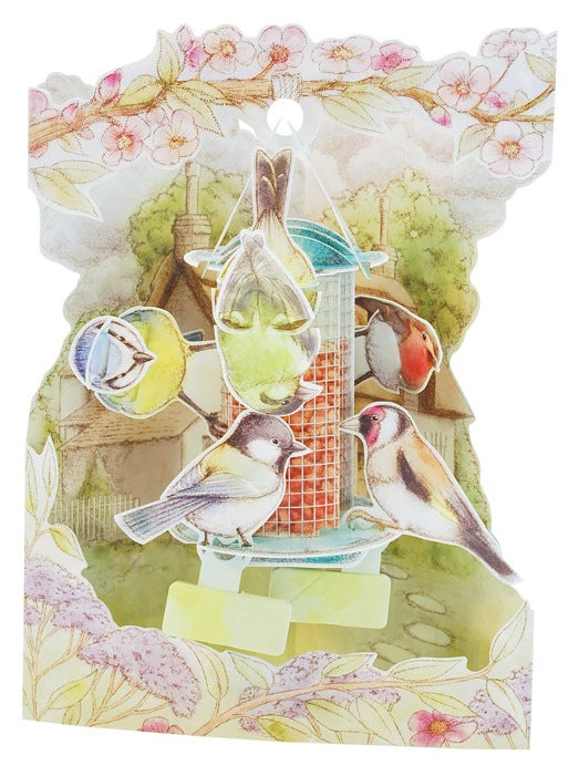Garden Birds Display Card