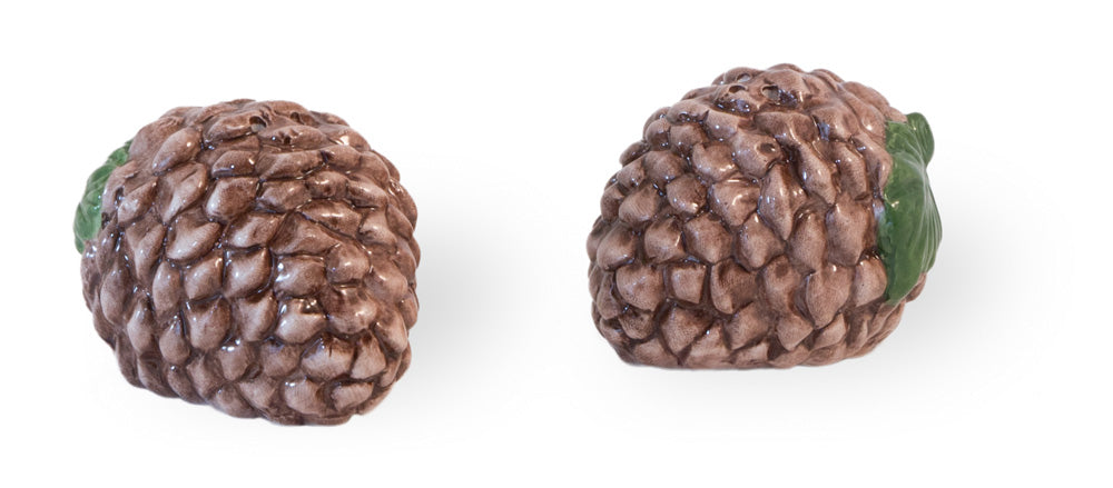 Pinecone Prose Salt and Pepper Shakers