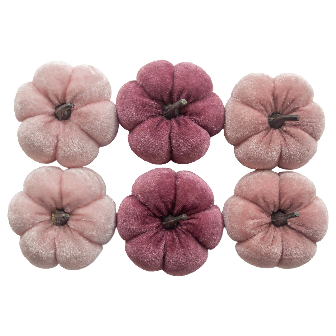 Pink Velvet Boxed Pumpkins (Set of 6)