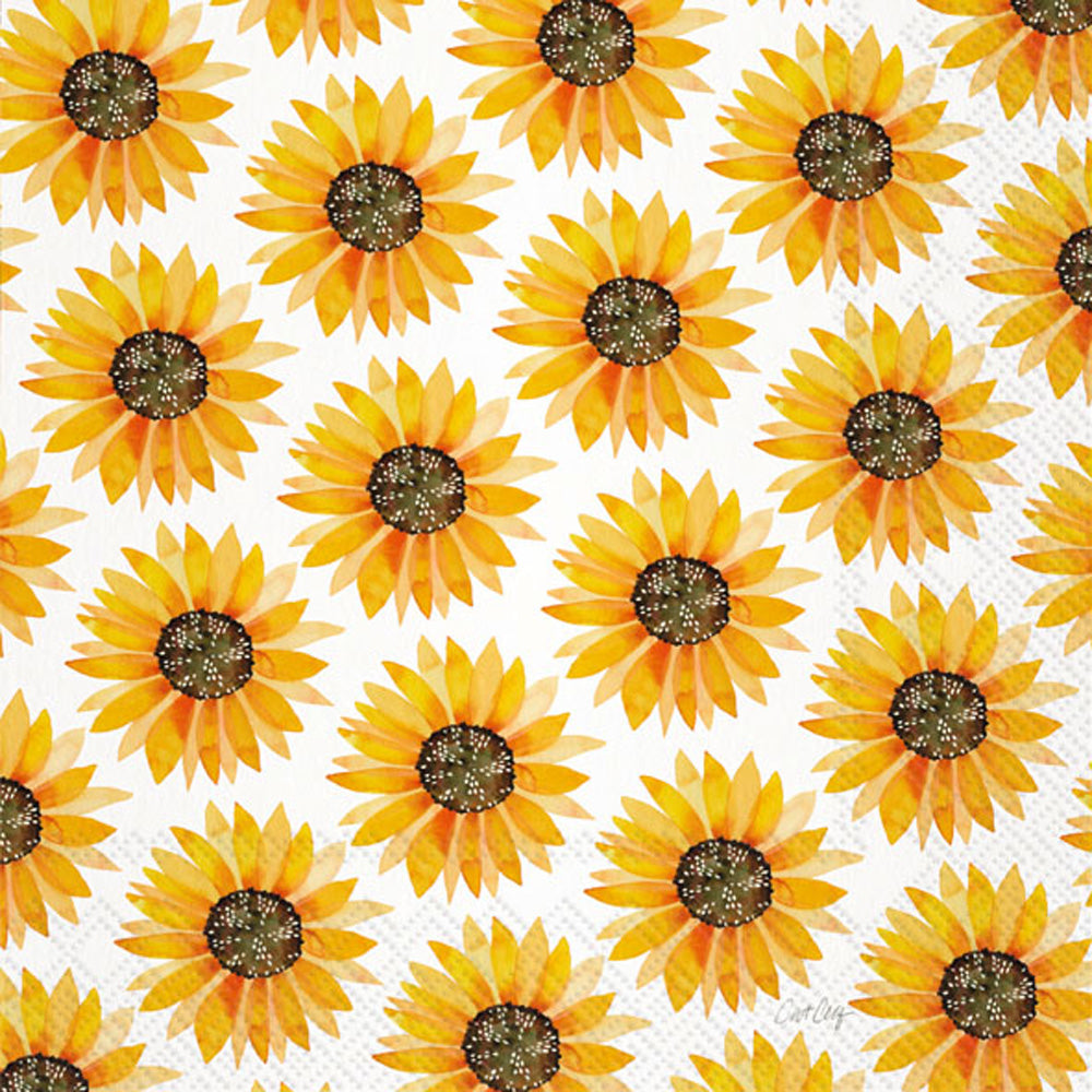 CKTL/SUNFLOWER PATTERN