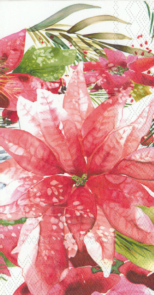 GUEST/AMARYLLIS AND POINSETTIA  BF185500