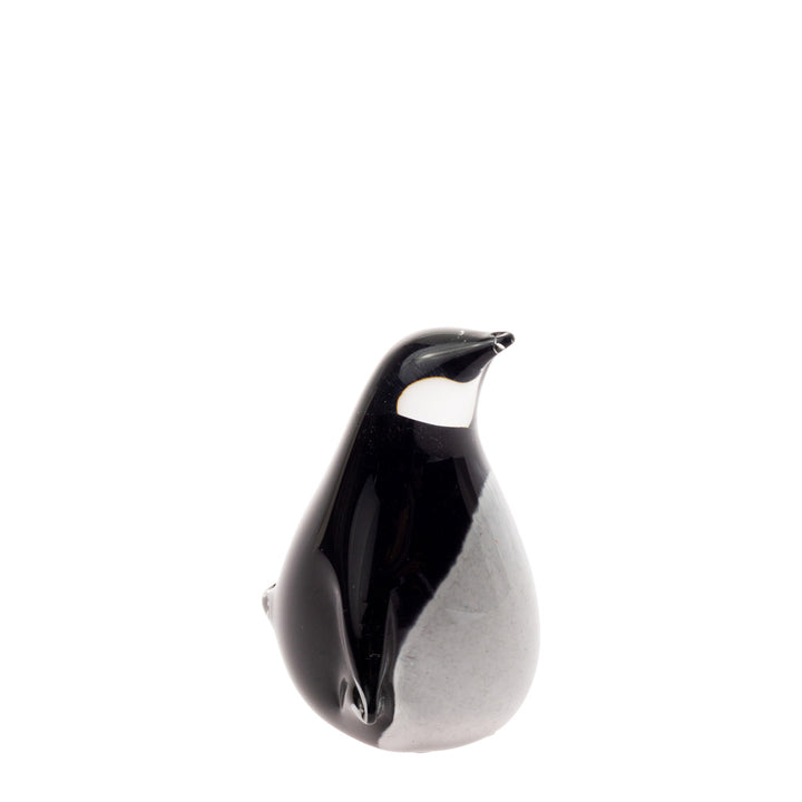 Small Glass Penguin