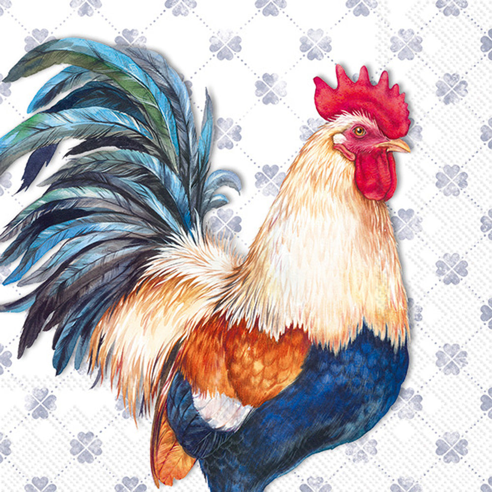 CKTL/ALBERT ROOSTER blue