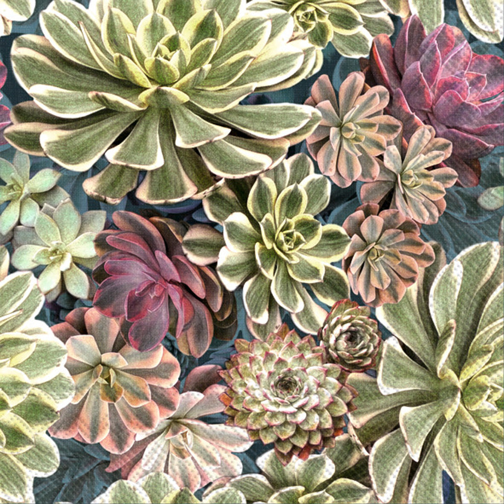 Sukkulent Cocktail Napkin