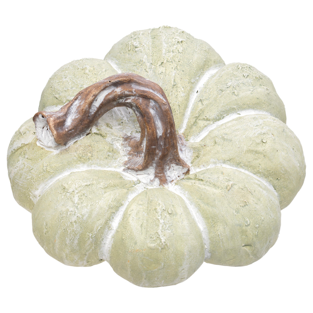 Chalky Green Squat Pumpkin