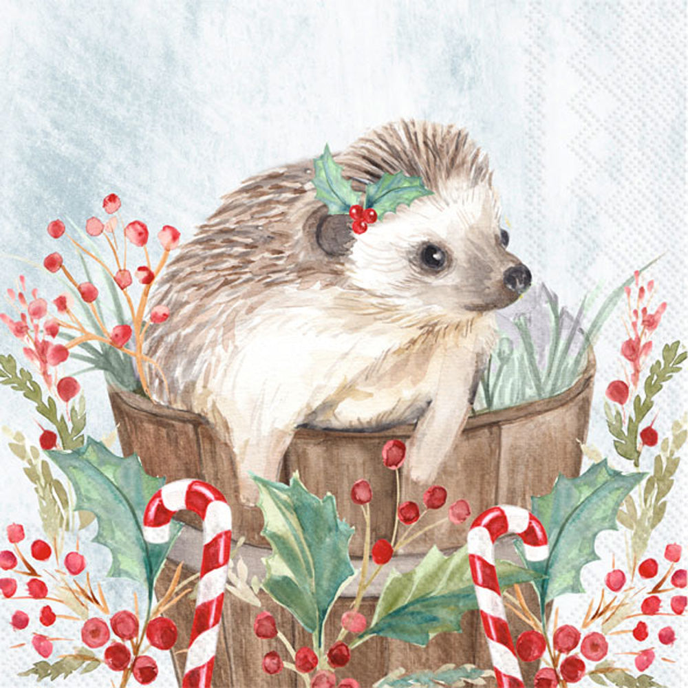 CKTL/HOLIDAY HEDGEHOG