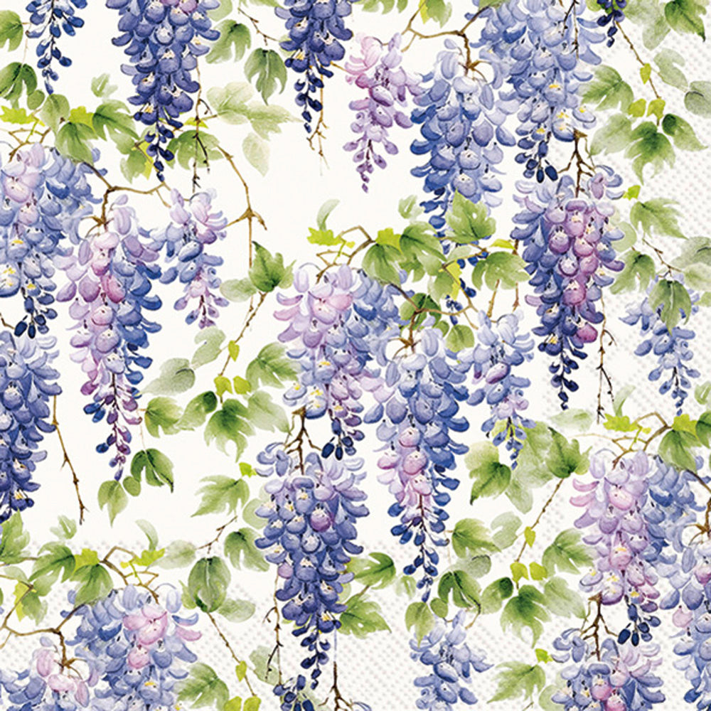 LNCH/PURPLE WISTERIA cream