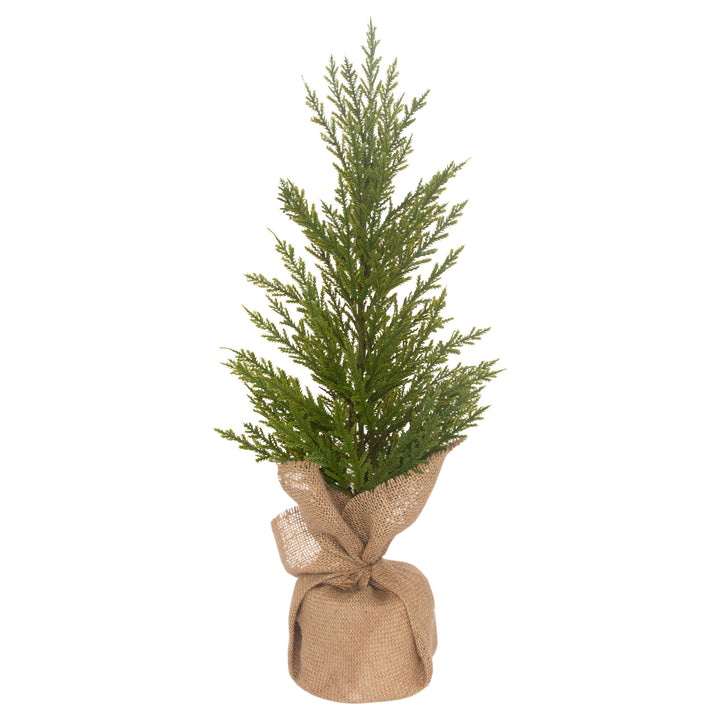 Winter Fir Tree Medium
