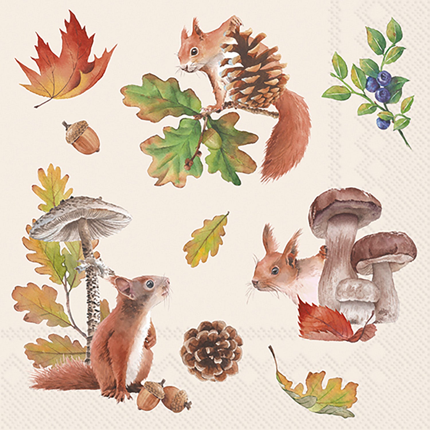 Fall Squirrel Lunch Napkin