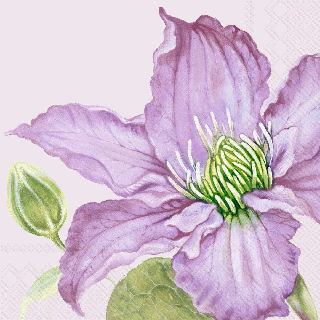 Huge Clematis Lunch Napkin