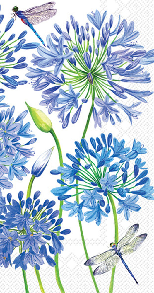 GUEST/AGAPANTHUS