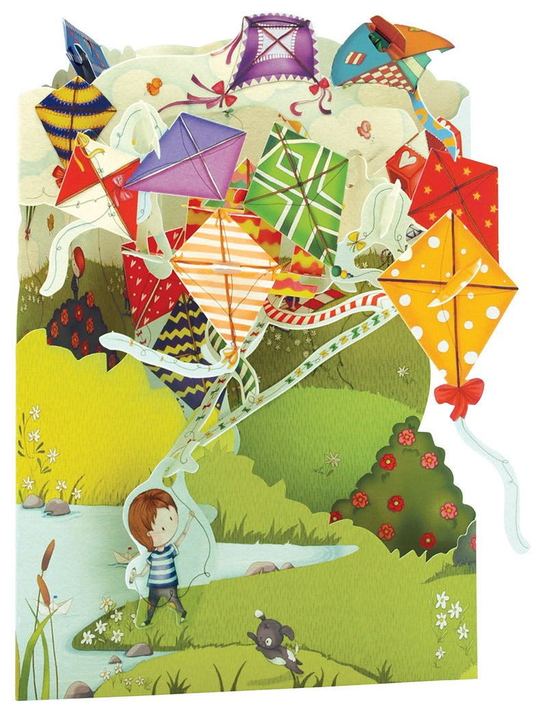 Kites Display Card
