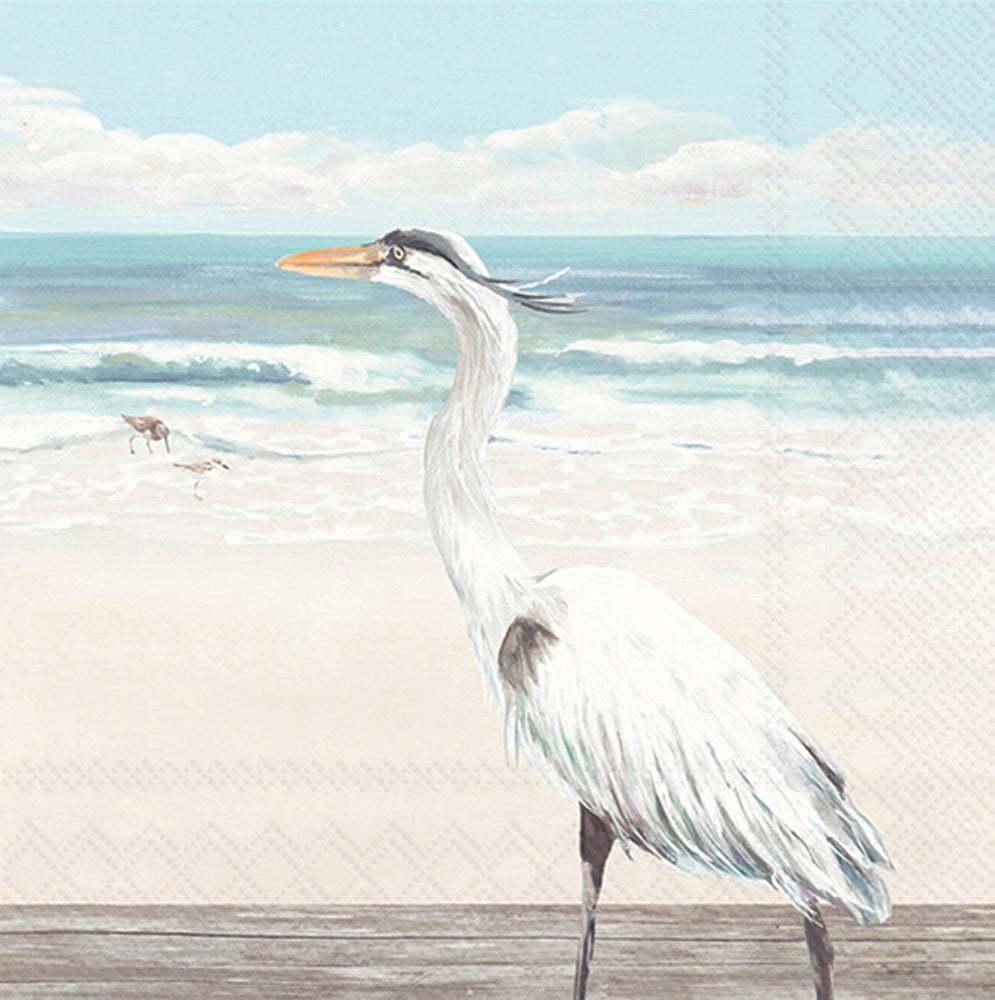 CKTL/EGRET ON THE BEACH