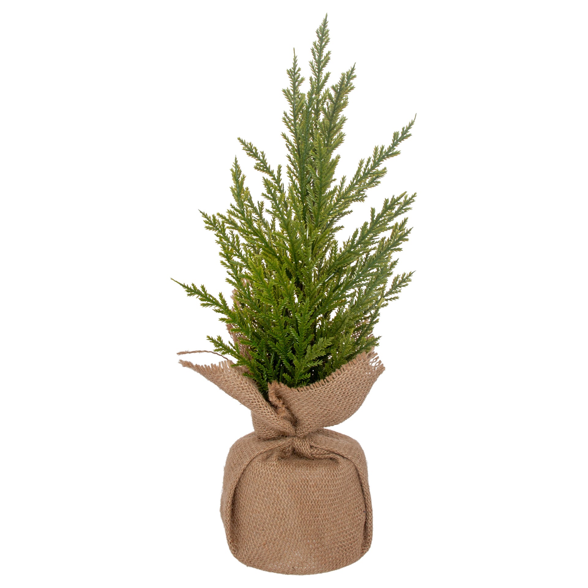 Winter Fir Tree Small