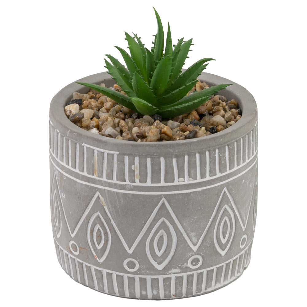 Grey Pot Succulent