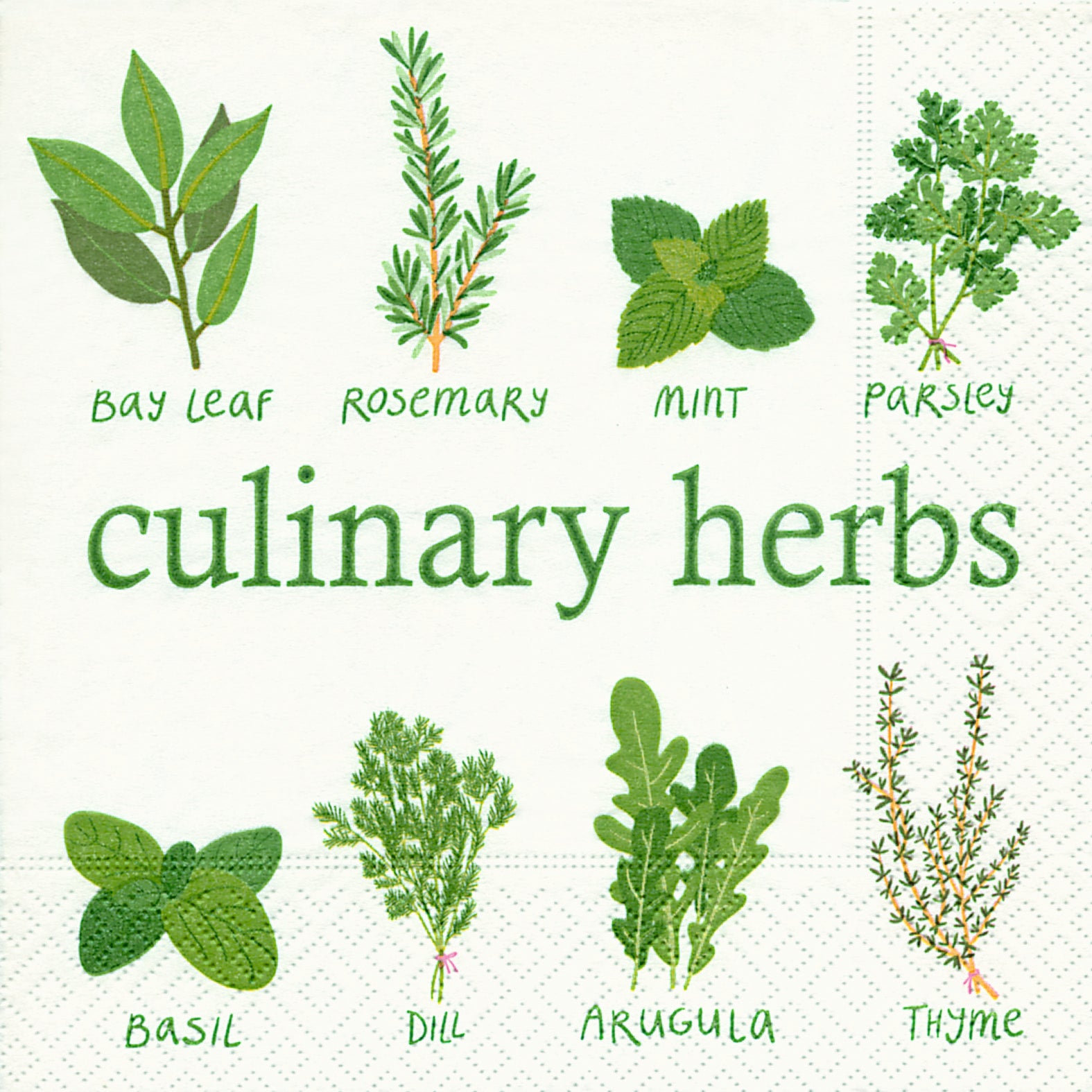 Culinary Herbs Cocktail Napkin
