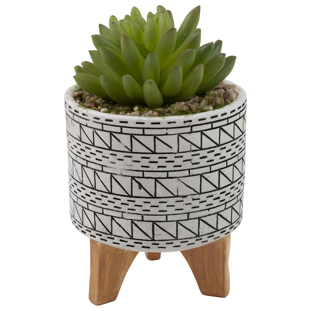 Mini Echeveria White and Black Pot