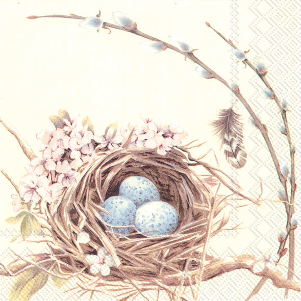 CKTL/BIRDS NEST WITH EGGS