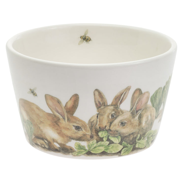 Garden Rabbits Bowl and Spreader